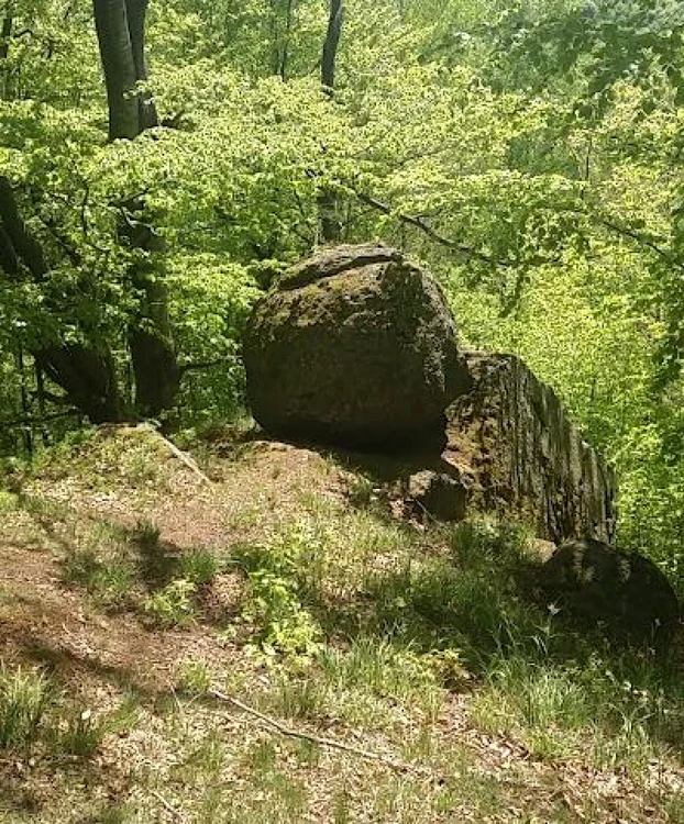oul arsitei rezervaţie