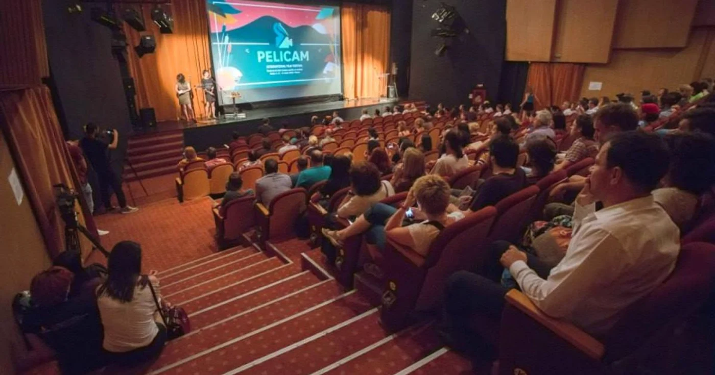 Ediţia din acest an a Pelicam va avea loc între 20 şi 23 iunie, la Tulcea