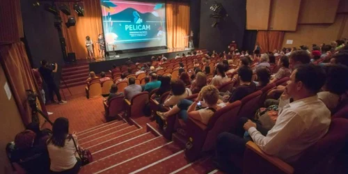 Pelicam
