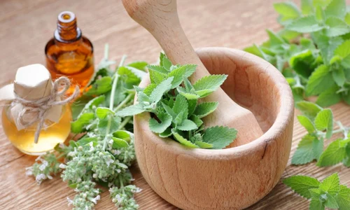 La ce detalii să fii atent când alegi un remediu din plante  jpg