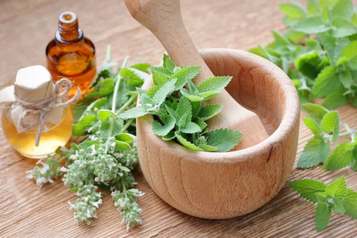 La ce detalii să fii atent când alegi un remediu din plante  jpg