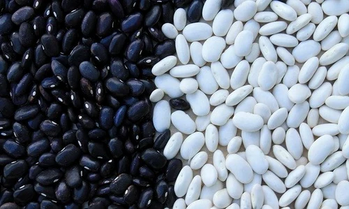 beans 799943 640 jpeg
