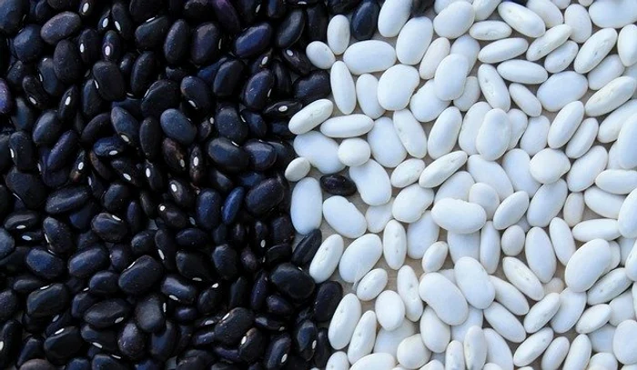 Fasolea boabe este un important substitut al cărnii, recomandat de nutriţionişti tinerilor şi vârstnicilor în egală măsură.Foto: pixabay.com