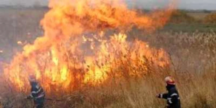Pompierii au intervenit pentru stingerea incendiilor