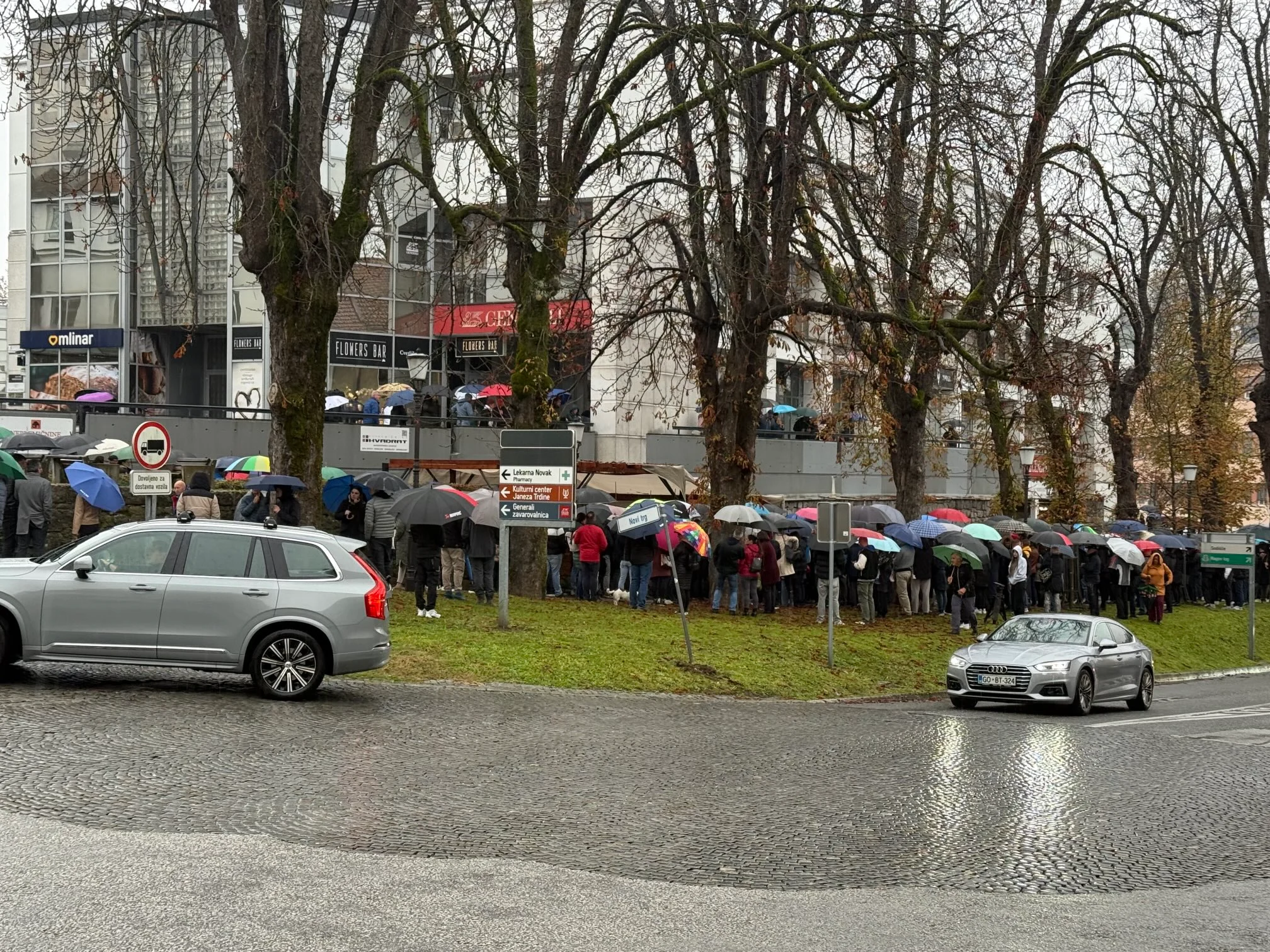 Indignare în Slovenia, după ce un bărbat a murit agresat de un grup de romi. Doi miniștri au demisionat