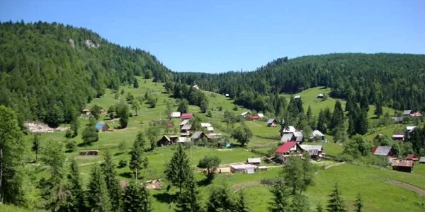 apuseni alba