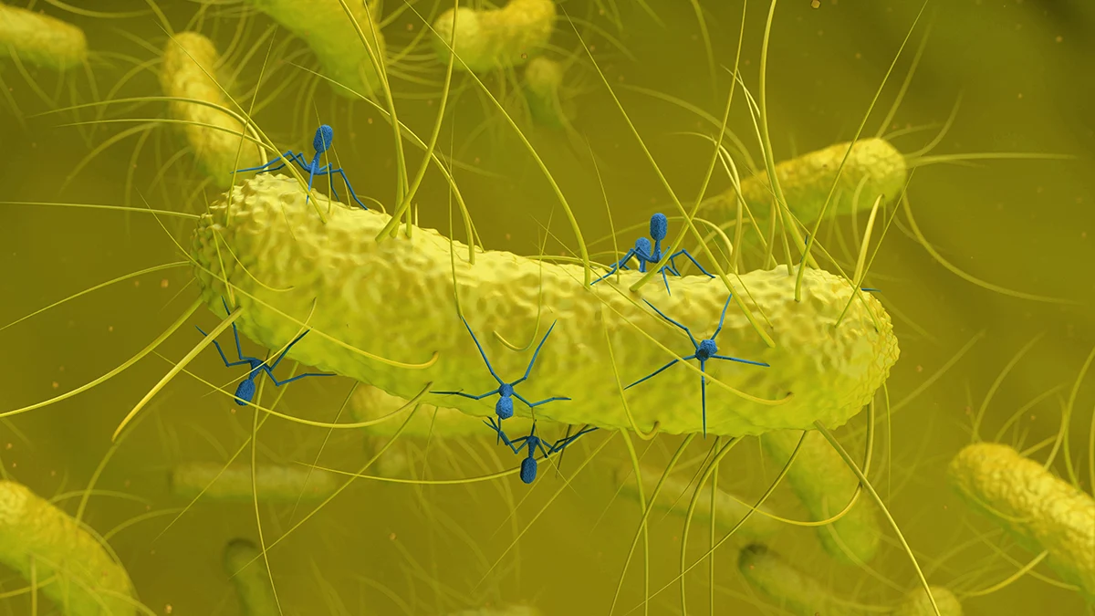 O bacterie obișnuită ascunde un virus necunoscut care ar putea fi legat de apariția cancerului