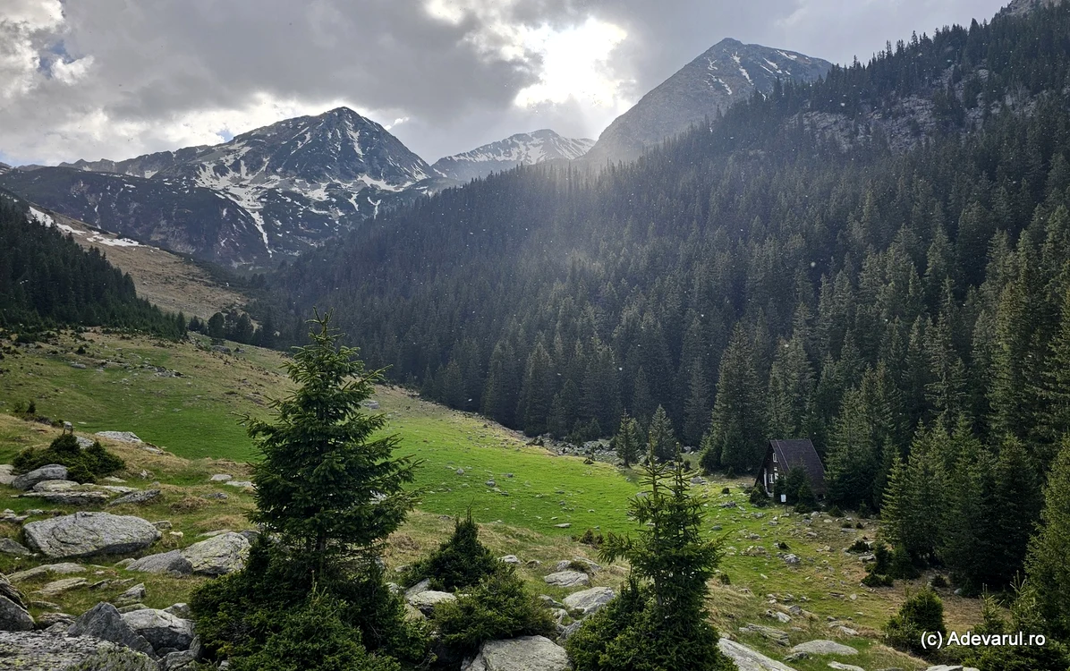 Refugiul de la Stâna de Râu. Foto: Daniel Guță. ADEVĂRUL