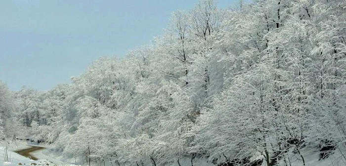 viata la tara foto mihai tufa