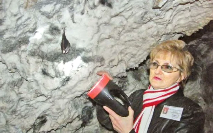 Felicia Bantea este pasionată de comportamentul liliecilor