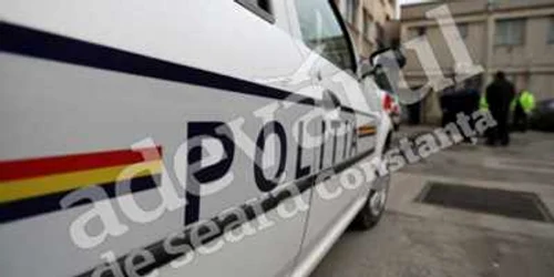 Poliţiştii verifica povestea fetei de 17 ani 