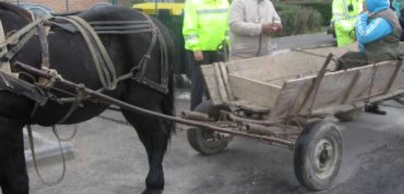 Un şofer aflat în trafic a sunat la 112