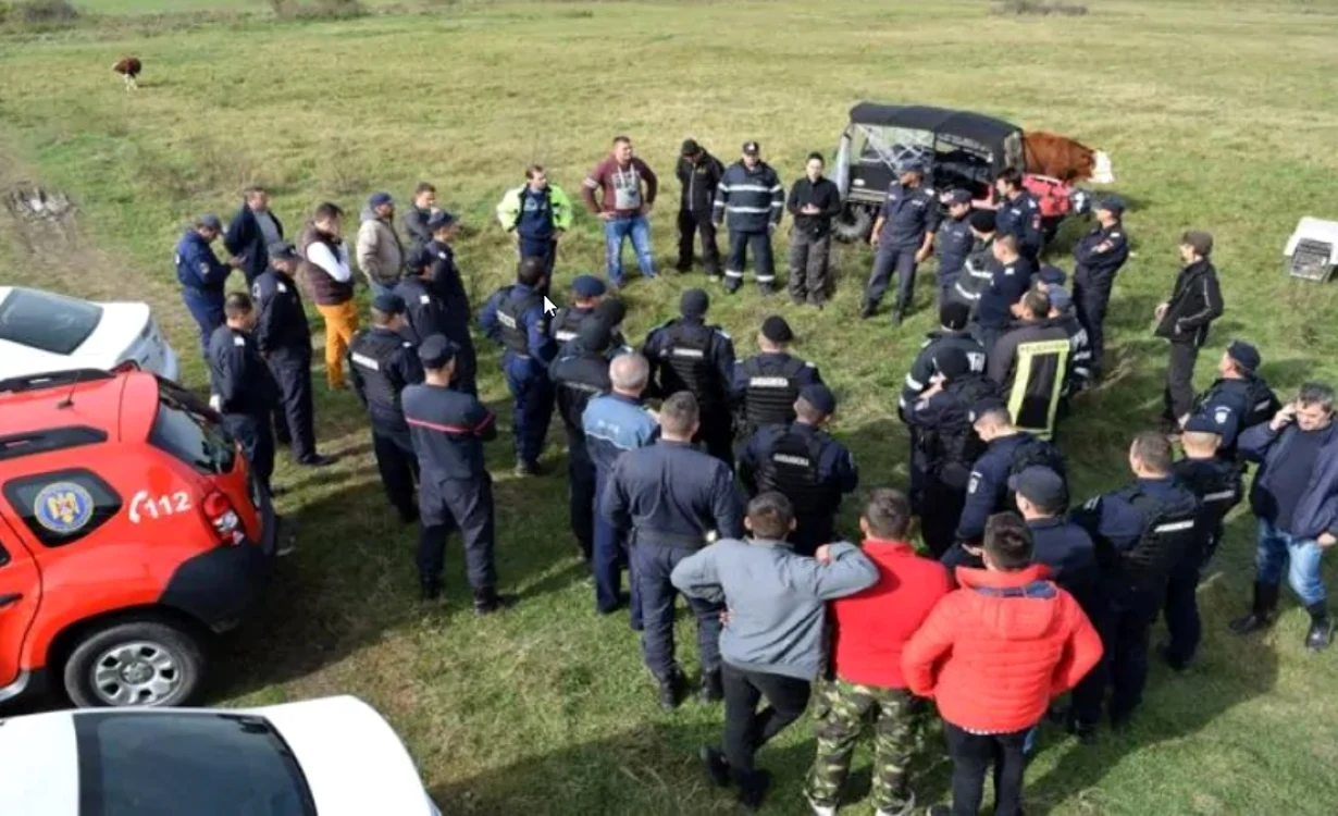 La căutări participă forţe de ordine şi voluntari.