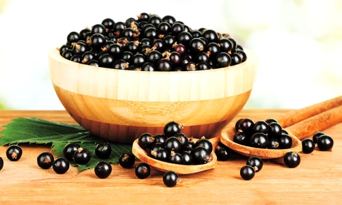 coacăze negre beneficii jpeg