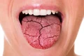 1 shutterstock 1719832231 jpg jpeg