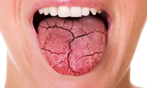 1 shutterstock 1719832231 jpg jpeg