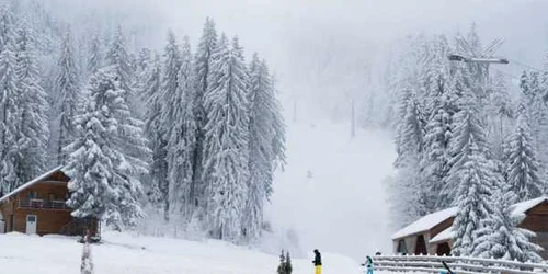primaria Brasov partie