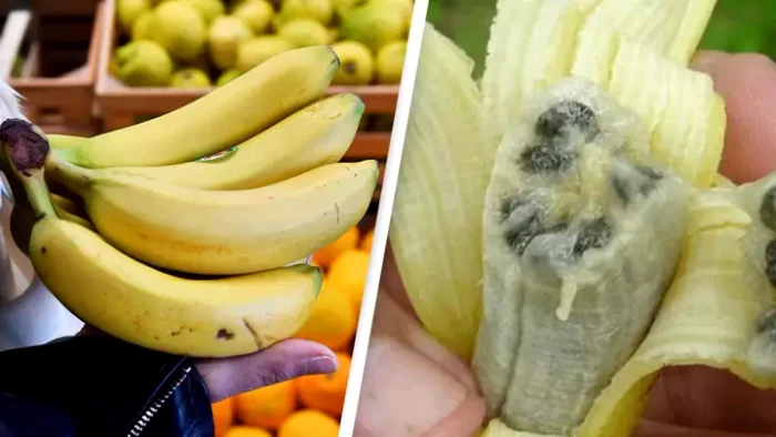 Ciuperca amenință bananele / foto: Unilad