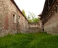 Castelul de la Criş