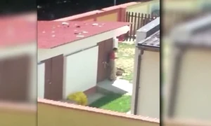 Copilul de la centrul din București, legat cu sfoară de clanța ușii jpeg