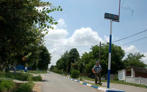 buesti 2