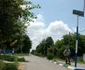 buesti 2
