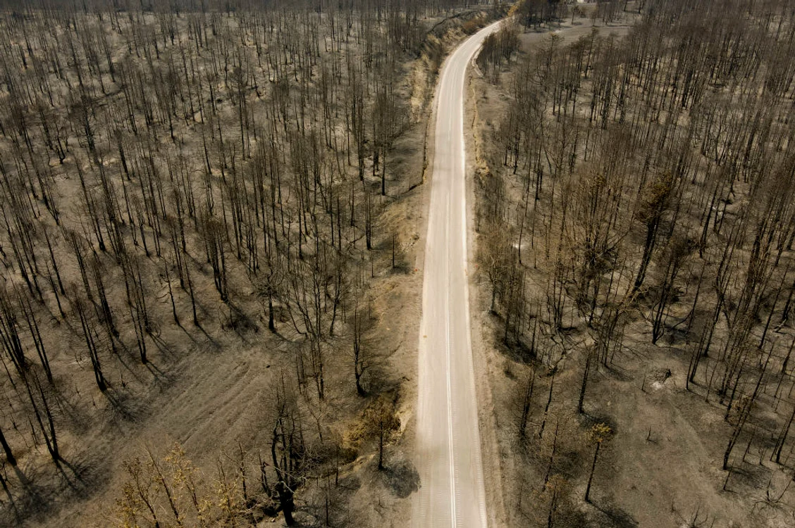
    foto: GettyImages  