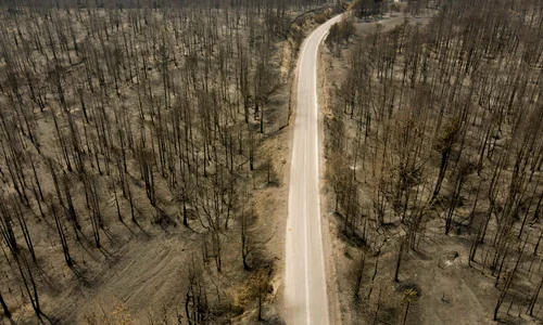 grecia dupa incendiu gettyimages 1333618208 jpeg