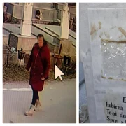 BeFunky collage11 (19) fotor 20260324162936 png