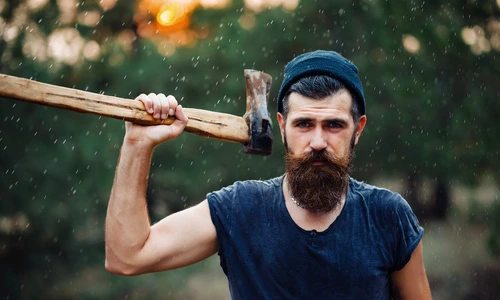 2 shutterstock 336166544 jpg jpeg