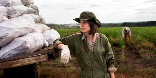 Agricultura de nis╠ªa╠å  Idei profitabile pentru fermieri inovatori jpg