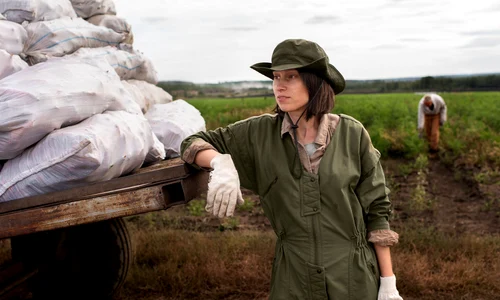 Agricultura de nis╠ªa╠å  Idei profitabile pentru fermieri inovatori jpg