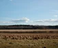 DSC 0248 JPG