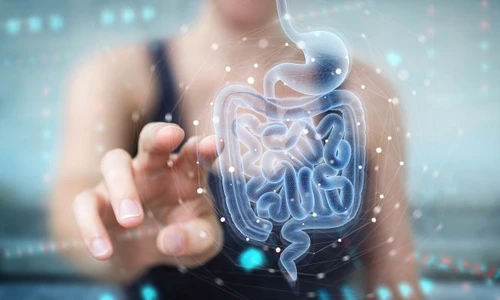 1 shutterstock 1647269665 1 jpg jpeg