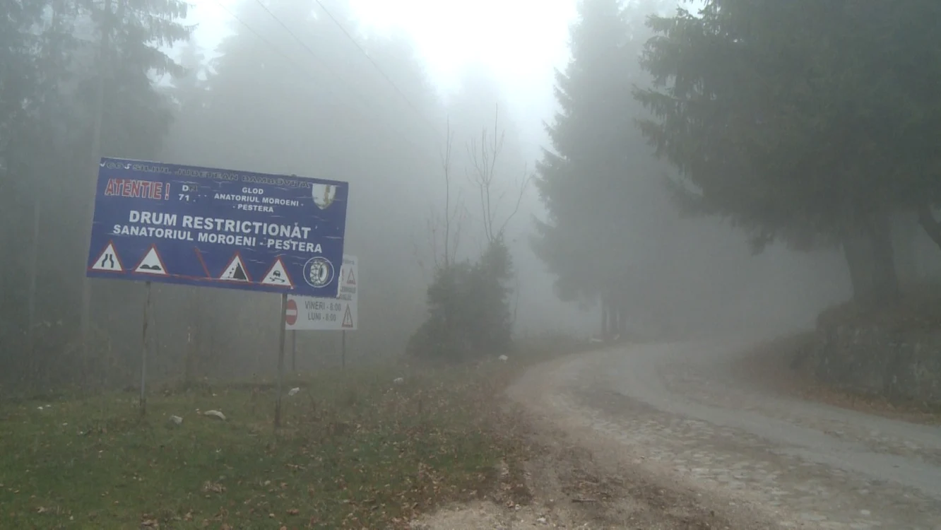 deszapezire Padina