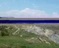 Seciurile