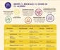 4 infografic 2 jpg jpeg