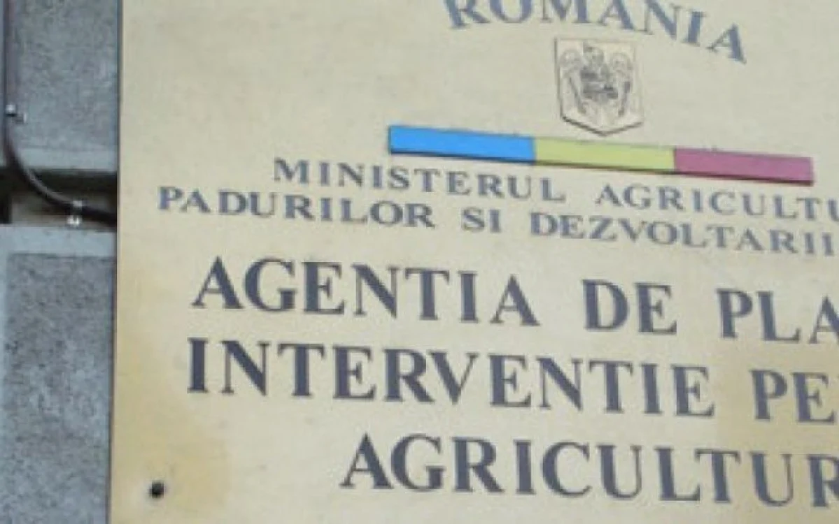 Administratorul societăţii este acuzat că a obţinut ilegal bani cu documente false