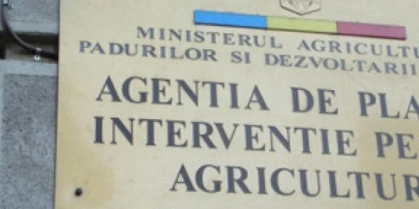 Administratorul este acuzat că a încercat să obţină ilegal bani prezentând documente flase