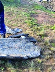 Foto: Muzeul Naţional al Carpaţilor Răsăriteni (MNCR)