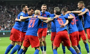 fcsb fb jpg