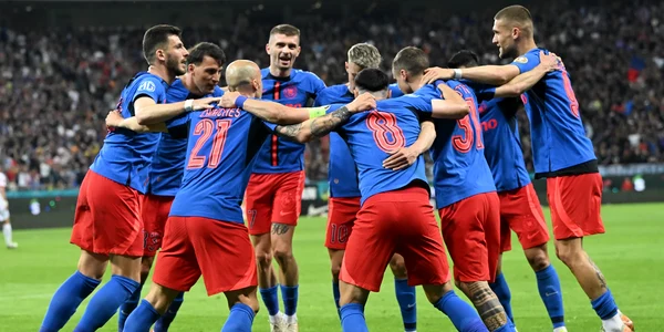 fcsb fb jpg