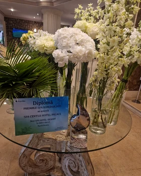 Premiul Best Hotel Spa în clădire istorică la Conferința Anuală Spa România obținut de Palace Govora Foto Palace Govora png