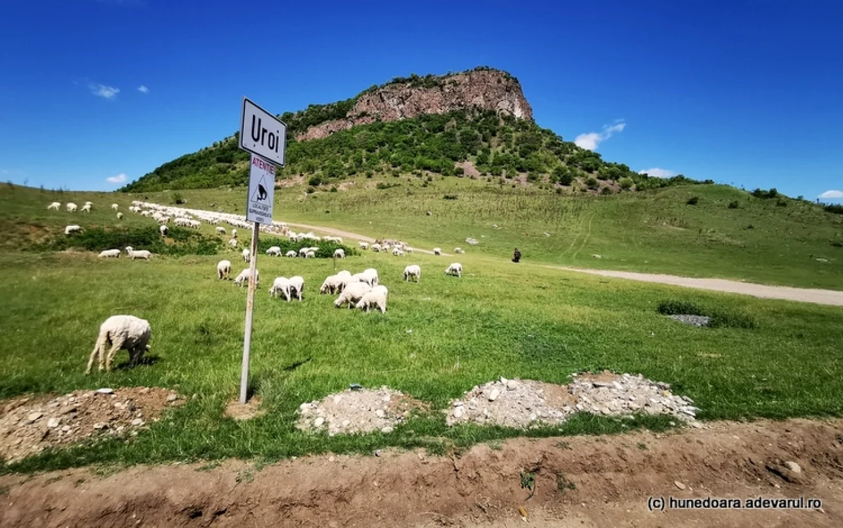 Măgura Uroiului. Foto: Daniel Guţă. ADEVĂRUL