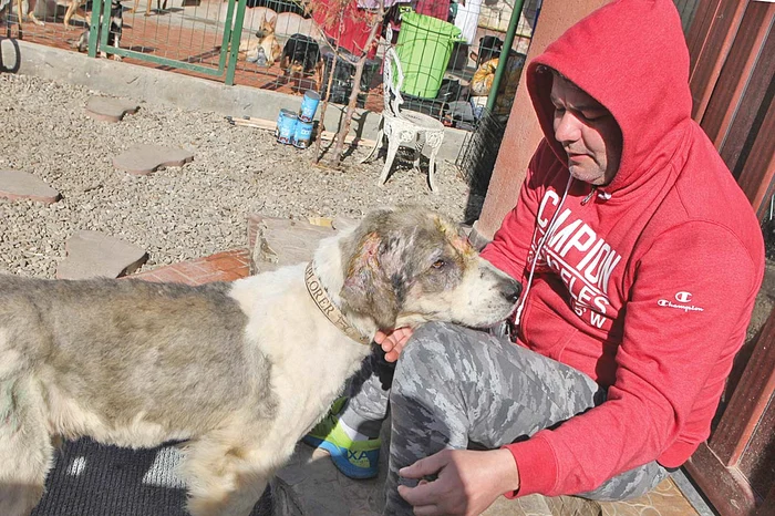 Ciobănescul se joacă toată ziua cu Marius Chirca