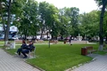 spatii verzi darabani (7) jfif