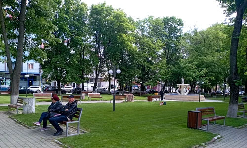 spatii verzi darabani (7) jfif