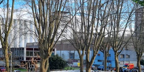 dramatique accident de la circulation au port du rhin a strasbourg photo dna genevieve lecointre 1679936018 jpg