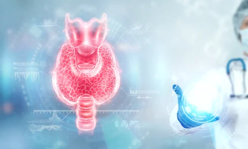 tiroida_shutterstock 2179551003 jpg