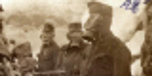 15 noiembrie 1919. Memoriul lui Gheorghe A. Chercheş privind înrolarea sa în armata austro-ungară unde ar fi trebuit să lupte împotriva armatei române în care era înrolat tatăl său BJAN Tulcea